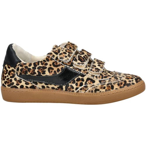 Baskets basses Dolce & Vita Sneaker - Dolce & Vita - Modalova