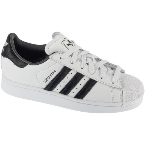 Baskets basses Superstar II W - adidas - Modalova