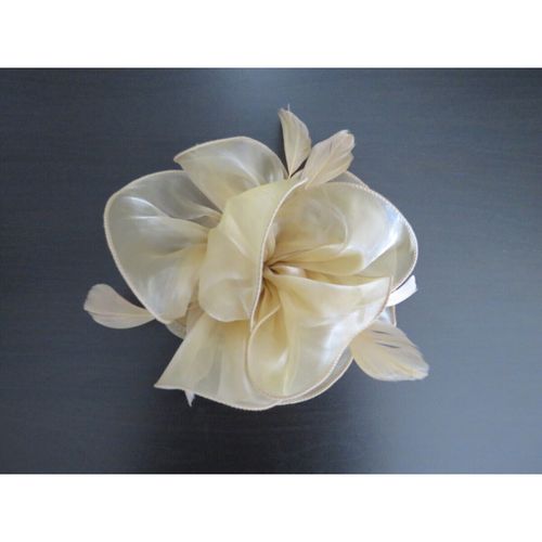 Cravates et accessoires fascinator - Sans marque - Modalova
