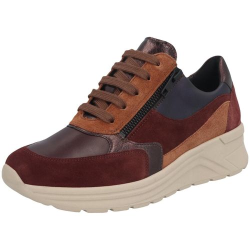 Baskets basses Solidus Karma - Solidus - Modalova