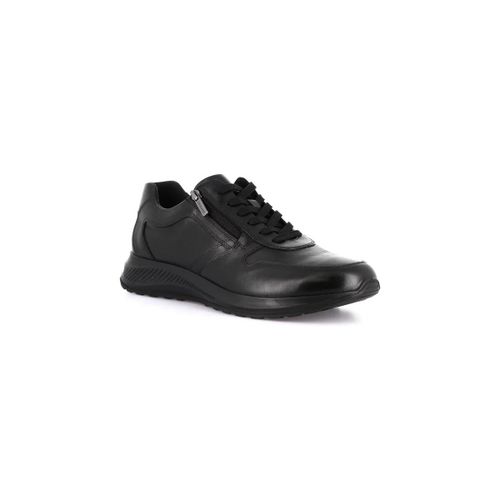 Chaussures Grunland DSG-SC4633 - Grunland - Modalova
