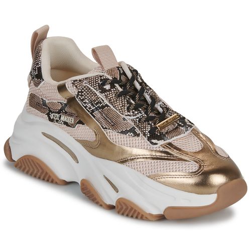 Baskets basses POSSESSION - Steve Madden - Modalova
