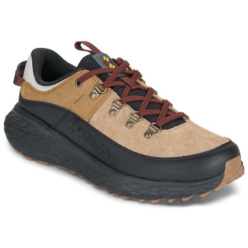 Chaussures Columbia TERRASTRIDE BC - Columbia - Modalova