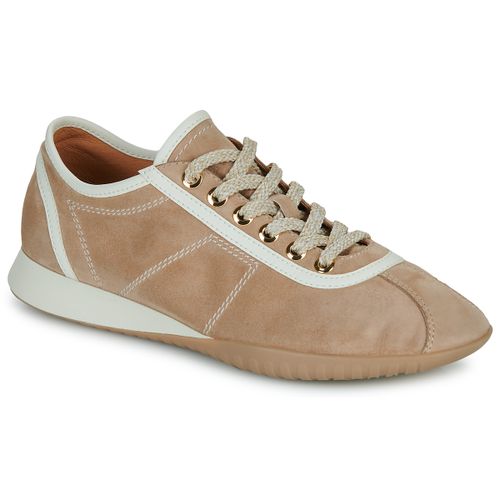 Baskets basses Mam'Zelle DIXIT - Mam'Zelle - Modalova