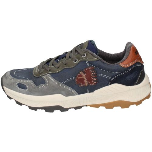 Baskets basses Americanino - Americanino - Modalova