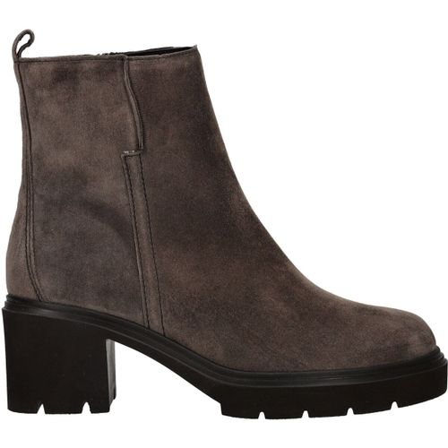 Bottines Gabor Bottines - Gabor - Modalova