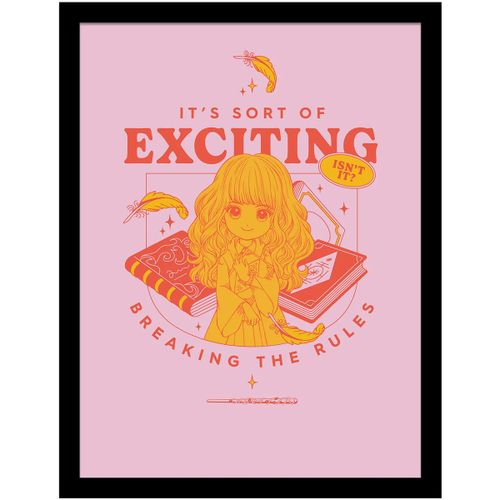 Affiches, posters 40 cm x 30 cm PM10525 - Harry Potter - Modalova