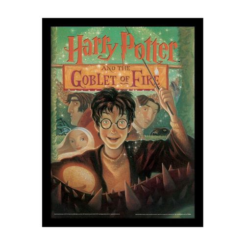 Affiches, posters 40 cm x 30 cm PM7981 - Harry Potter - Modalova