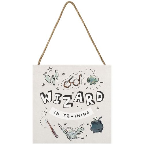 Affiches, posters 20 cm x 20 cm PM6186 - Harry Potter - Modalova