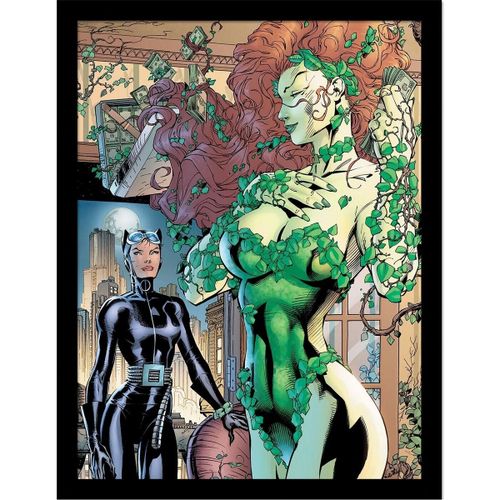 Affiches, posters 40 cm x 30 cm PM8679 - Dc Comics - Modalova