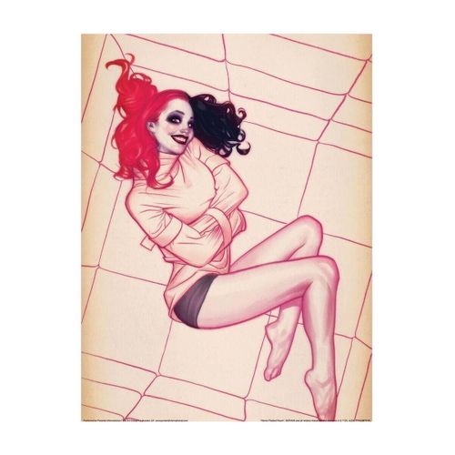 Affiches, posters 40 cm x 30 cm PM8717 - Dc Comics - Modalova