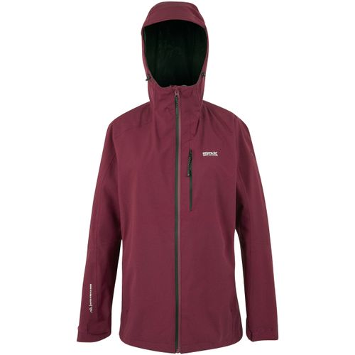 Blouson Regatta Birchdale II - Regatta - Modalova
