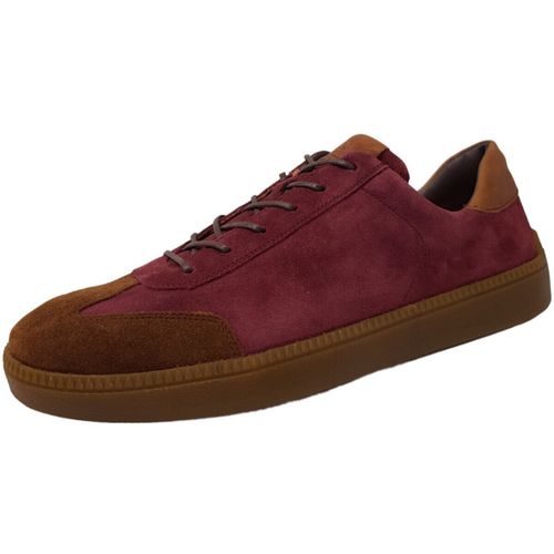Baskets basses Think - Think - Modalova