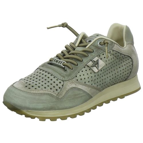 Baskets basses Cetti - Cetti - Modalova