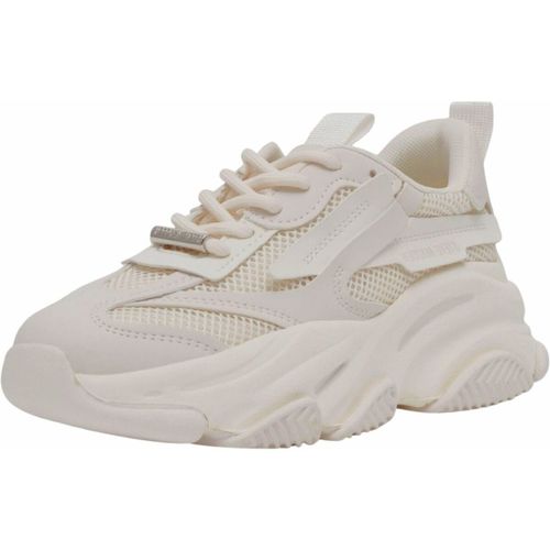Baskets basses Steve Madden Sneaker - Steve Madden - Modalova