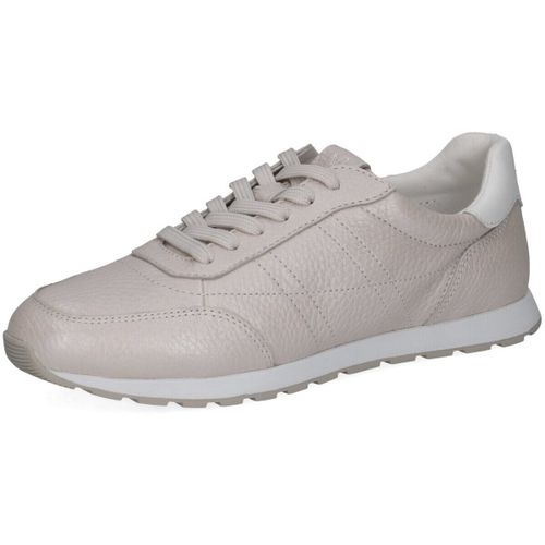 Baskets basses Caprice - Caprice - Modalova