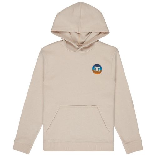 Sweatshirts à capuche Shape Or Destroy - DC Shoes - Modalova
