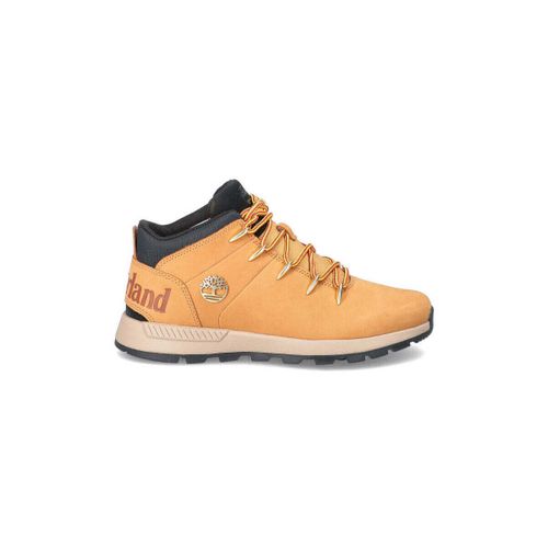 Baskets basses Timberland - Timberland - Modalova