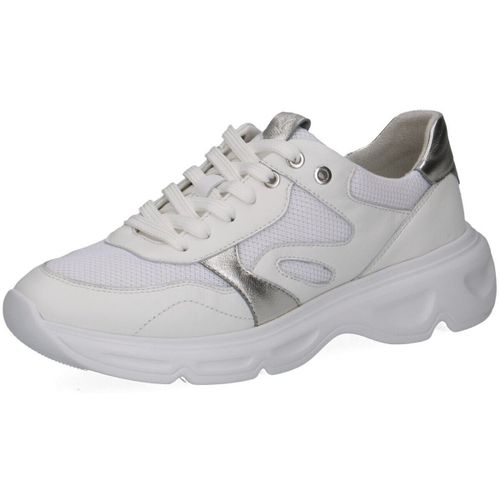 Baskets basses Caprice - Caprice - Modalova