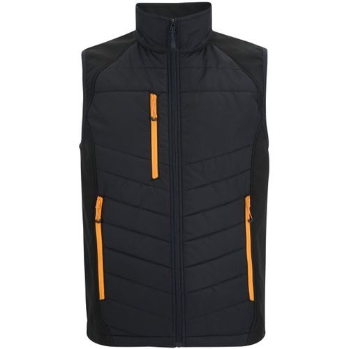Veste Regatta RG12395 - Regatta - Modalova