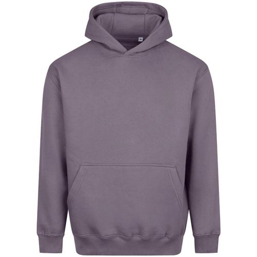 Sweatshirts à capuche Awdis Vision - Awdis - Modalova