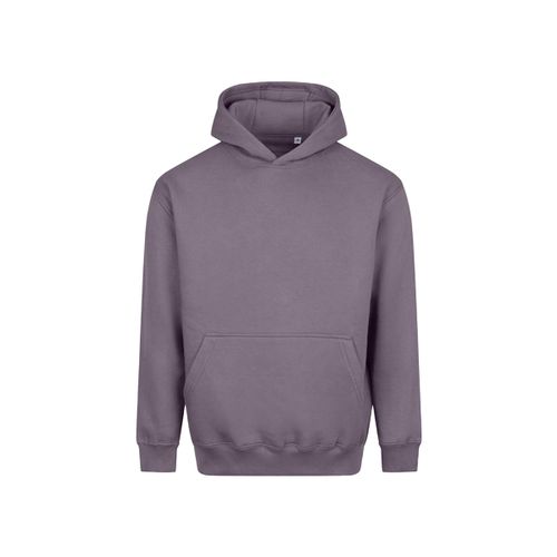 Sweatshirts à capuche Awdis Vision - Awdis - Modalova