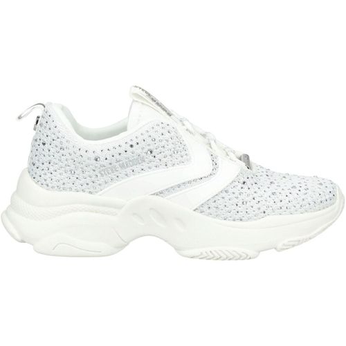 Baskets basses Steve Madden Sneaker - Steve Madden - Modalova