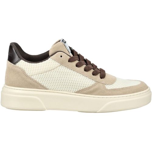 Baskets basses Steve Madden Sneaker - Steve Madden - Modalova