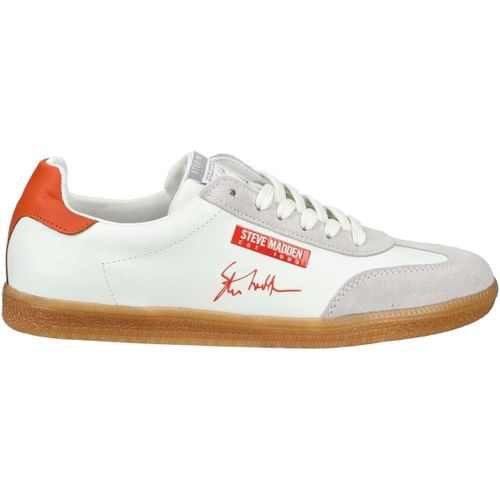 Baskets basses Steve Madden Sneaker - Steve Madden - Modalova