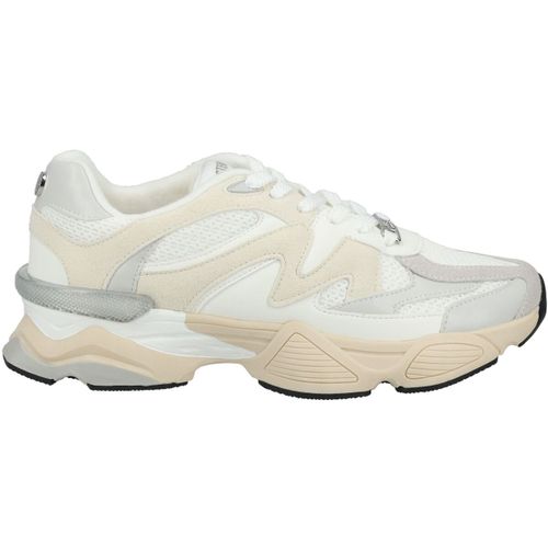 Baskets basses Steve Madden Sneaker - Steve Madden - Modalova
