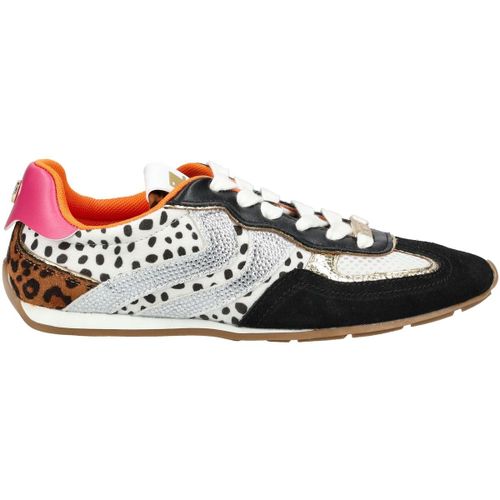 Baskets basses Steve Madden Sneaker - Steve Madden - Modalova