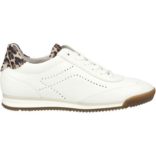 Baskets basses Gabor Sneaker - Gabor - Modalova