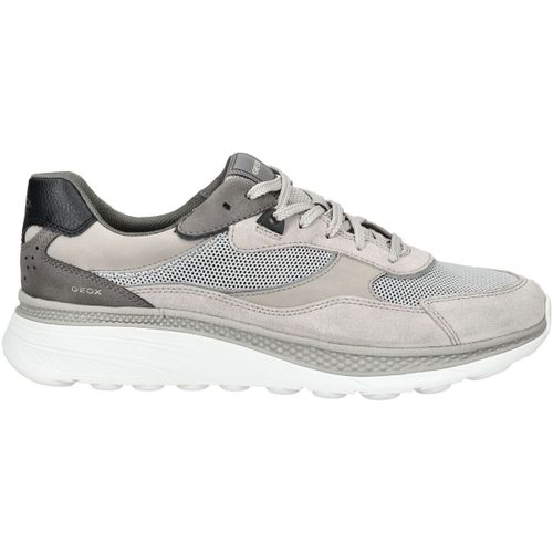 Baskets basses Geox Sneaker - Geox - Modalova