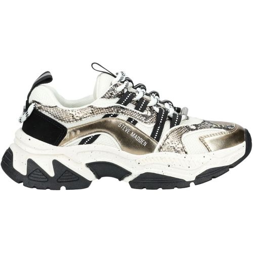 Baskets basses Steve Madden Sneaker - Steve Madden - Modalova