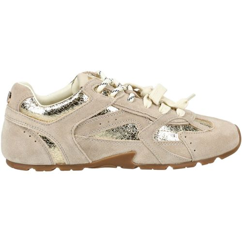 Baskets basses Steve Madden Sneaker - Steve Madden - Modalova