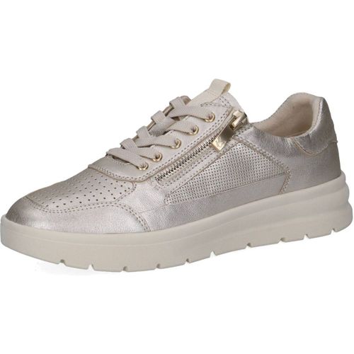 Baskets basses Caprice Sneaker - Caprice - Modalova