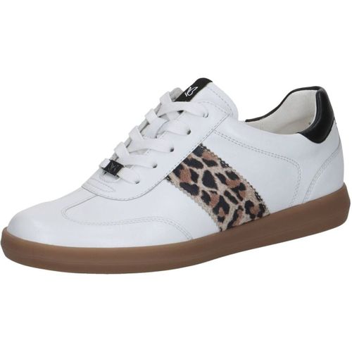 Baskets basses Caprice Sneaker - Caprice - Modalova