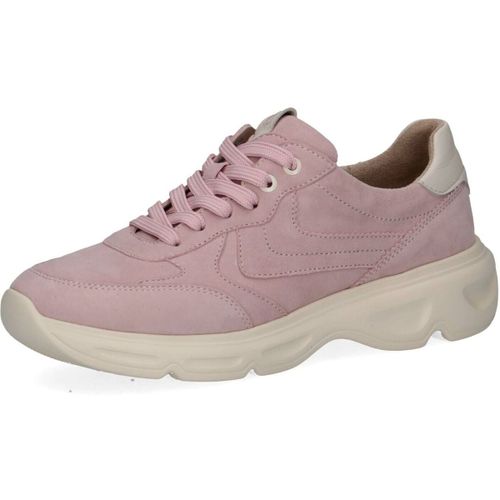 Baskets basses Caprice Sneaker - Caprice - Modalova