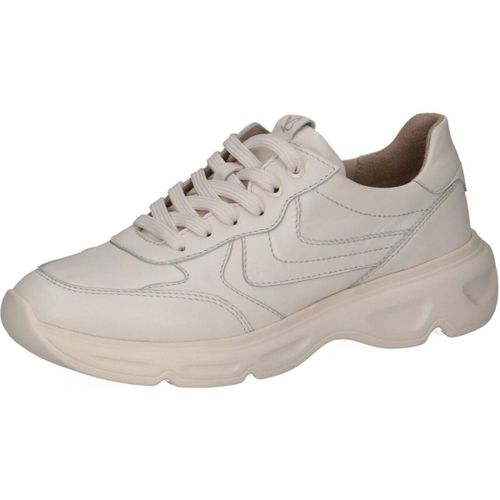 Baskets basses Caprice Sneaker - Caprice - Modalova