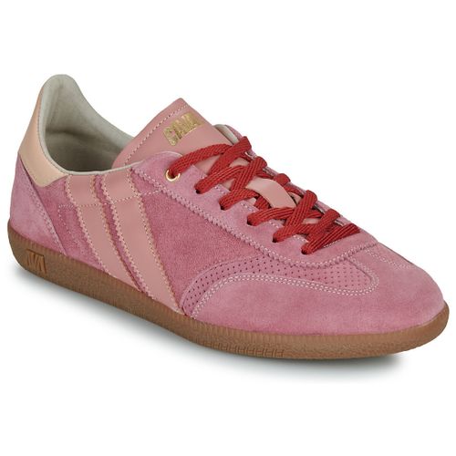 Baskets basses Caval - Caval - Modalova