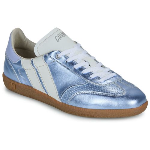 Baskets basses Caval - Caval - Modalova
