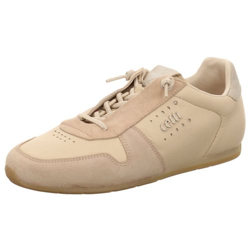 Baskets basses Cetti - Cetti - Modalova