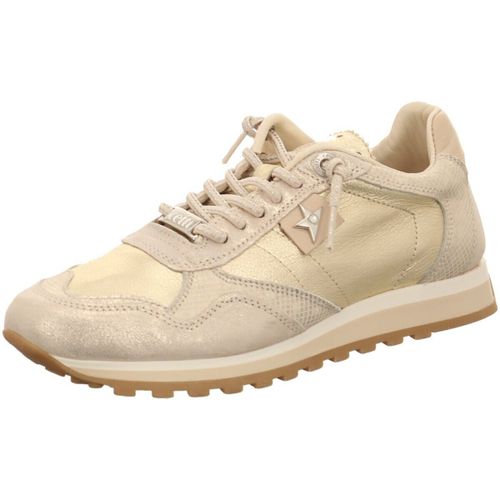 Baskets Cetti - Cetti - Modalova