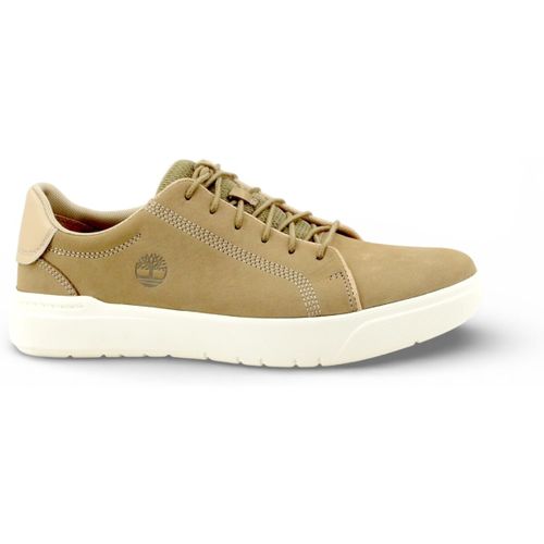 Baskets basses TB0A5TY5DR01-PE26 - Timberland - Modalova