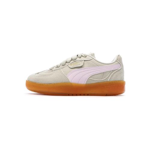 Baskets basses Palermo Moda Xtra - Puma - Modalova