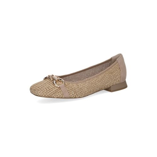 Ballerines 9-22503-42 311 bark comb - Caprice - Modalova