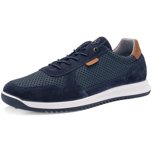 Baskets basses Ara - Ara - Modalova