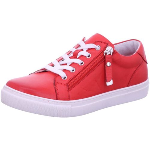 Baskets basses Gemini - Gemini - Modalova