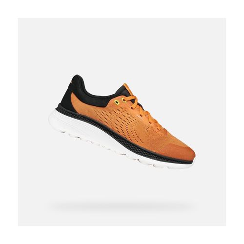 Baskets Geox U SPHERICA ACTIF X1 - Geox - Modalova