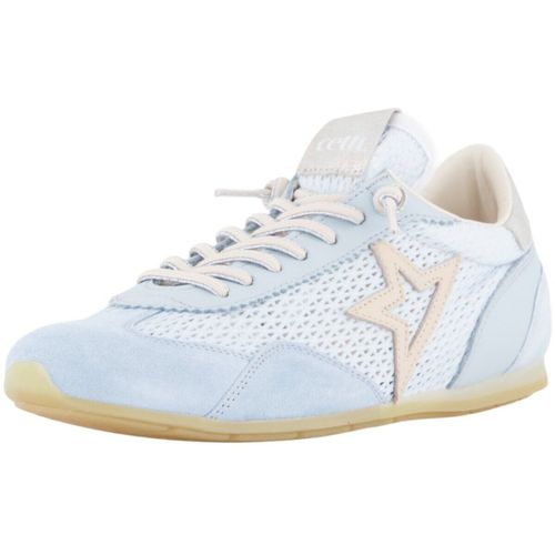 Baskets basses Cetti - Cetti - Modalova